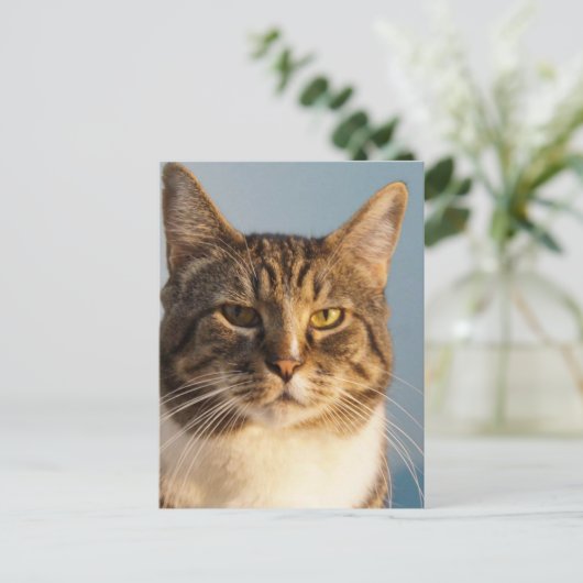 Yoda Postkarte (Stehend Vorderseite)