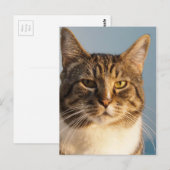 Yoda Postkarte (Vorne/Hinten)