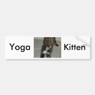 Yoga Bicolor Katze Autoaufkleber