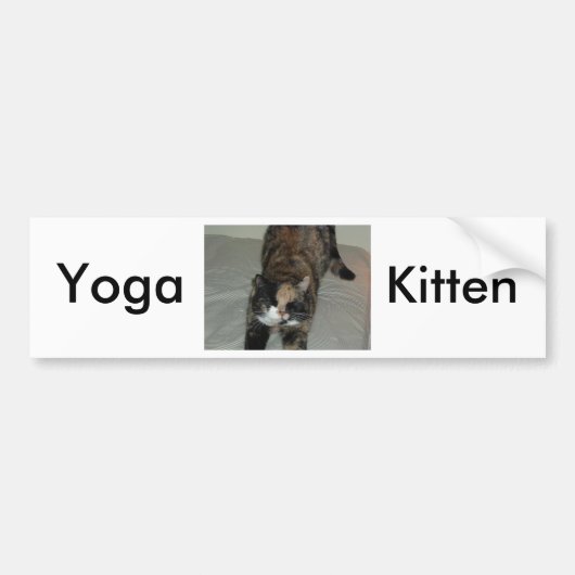 Yoga Calico Cat Autoaufkleber (Vorne)
