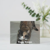 Yoga Calico Cat Postkarte (Stehend Vorderseite)