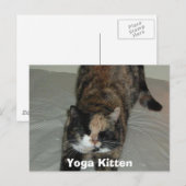 Yoga Calico Cat Postkarte (Vorne/Hinten)