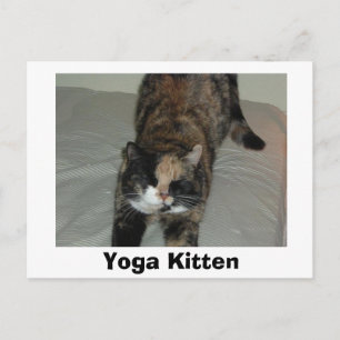 Yoga Calico Cat Postkarte