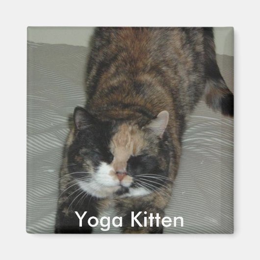 Yoga Calico Kitty Cat Magnet (Vorne)