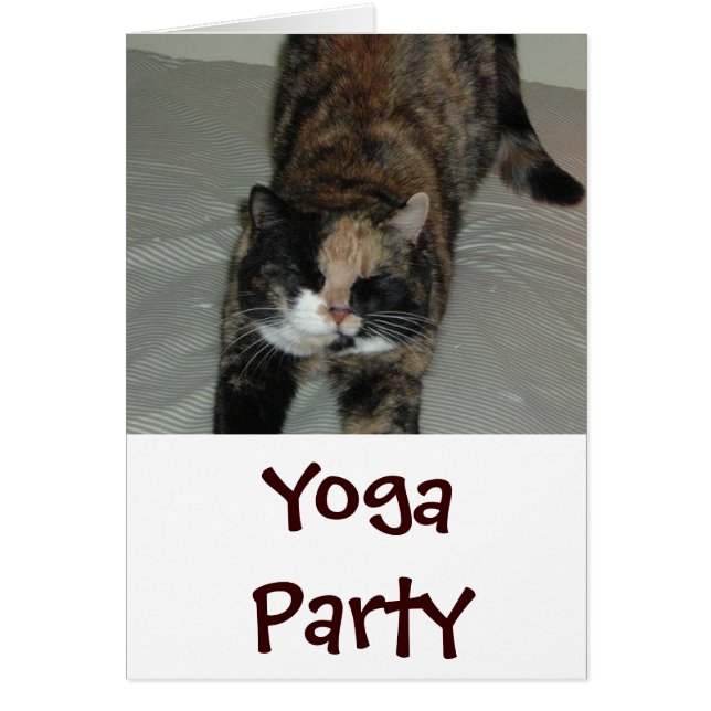 Yoga Cat (Vorne)