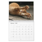 Yoga Cat Kalender (Feb 2027)