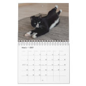 Yoga Cat Kalender (Mär 2027)