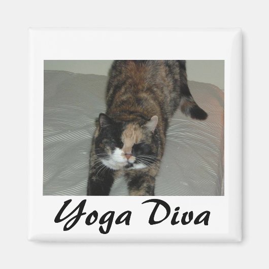 Yoga Cat Magnet (Vorne)