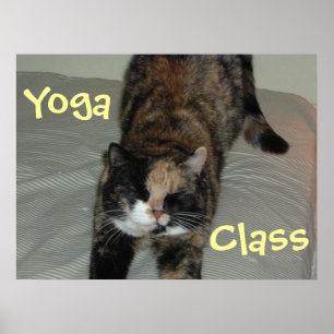 Yoga Cat Poster