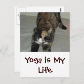 Yoga Cat Postkarte (Vorne/Hinten)