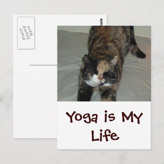 Yoga Cat Postkarte (Vorne/Hinten)