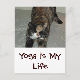 Yoga Cat Postkarte