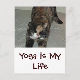 Yoga Cat Postkarte