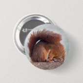Yoga-Eichhörnchen-Abzeichen Button (Vorne & Hinten)