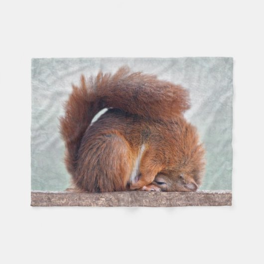 Yoga-Eichhörnchen-Fleece-Decke Fleecedecke (Vorderseite (Horizontal))