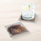 Yoga-Eichhörnchen-Glas-Untersetzer Glasuntersetzer (Schrägansicht)