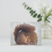 Yoga Eichhörnchen Postkarte (Stehend Vorderseite)