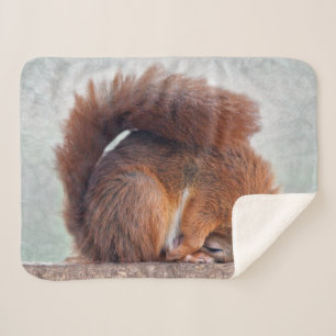 Yoga-Eichhörnchen-Sherpa-Decke Sherpadecke