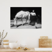 Yoga Horse, 1910er Poster (Küche)