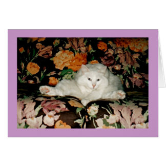 Yoga-Katze