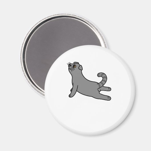 Yoga Pose Scottish Fold Cat Magnet (Vorderseite/Rückseite)