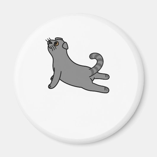Yoga Pose Scottish Fold Cat Magnet (Vorne)