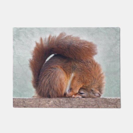 Yoga Squirrel Door Mat Fußmatte (Vorderseite)