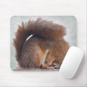 Yoga Squirrel Mousemat Mousepad (Mit Mouse)