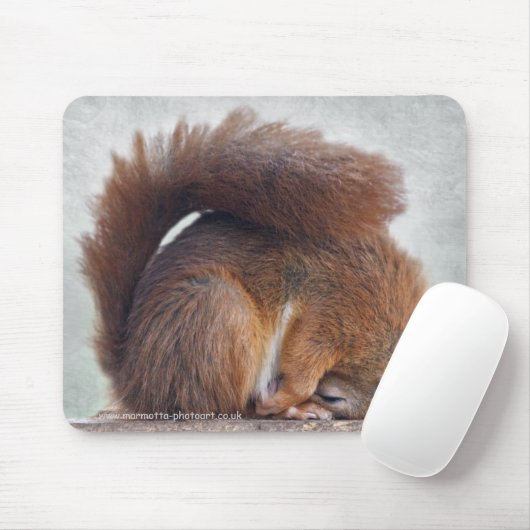 Yoga Squirrel Mousemat Mousepad (Mit Mouse)