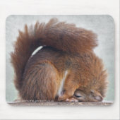 Yoga Squirrel Mousemat Mousepad (Vorne)