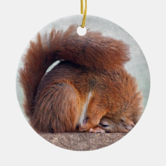 Yoga Squirrel Ornament (Vorne)