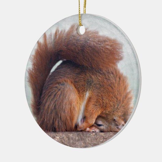 Yoga Squirrel Ornament (Links)