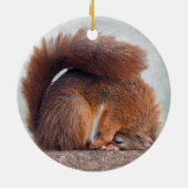 Yoga Squirrel Ornament (Hinten)