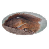 Yoga Squirrel Round Glass Cutting Board Schneidebrett (Ecke)