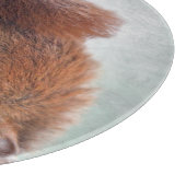 Yoga Squirrel Round Glass Cutting Board Schneidebrett (Ecke)