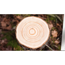 YOGA Studio Price List Mediation Pose Bodhi Leaf Werbekarte