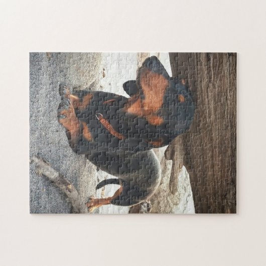 Yogahund Puzzle (Horizontal)