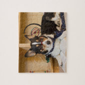 Yogi der Wissenschafts-Hund Puzzle (Vertikal)