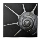 Yoka Muschel-Fliese Fliese (Vorderseite)