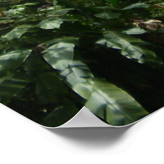 Yokahu Tower Poster (Ecke)