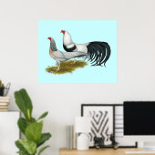 Yokohama: Silver Duckwing Pair Poster (Heimbüro)