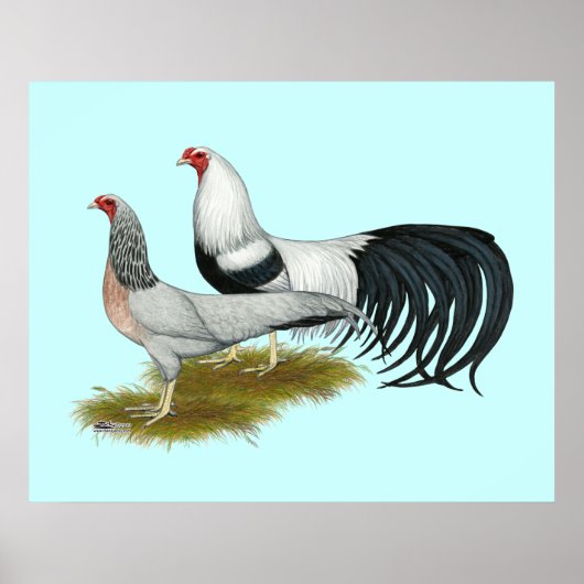 Yokohama: Silver Duckwing Pair Poster (Vorne)