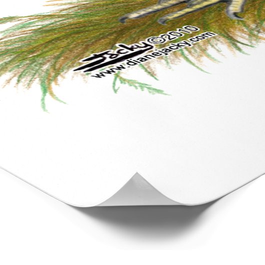 Yokohama: Silver Duckwing Pair Poster (Ecke)