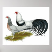 Yokohama: Silver Duckwing Pair Poster (Vorne)