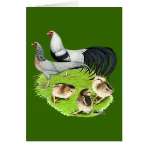 Yokohama Silver Family