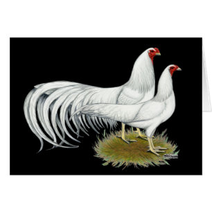 Yokohama: Weißes Paar