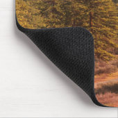 Yolla Bollies im Winter... Mousepad (Ecke)