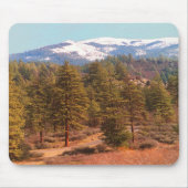 Yolla Bollies im Winter... Mousepad (Vorne)