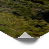Yolla Bollies mit frischem Pulverschnee..... Poster (Ecke)