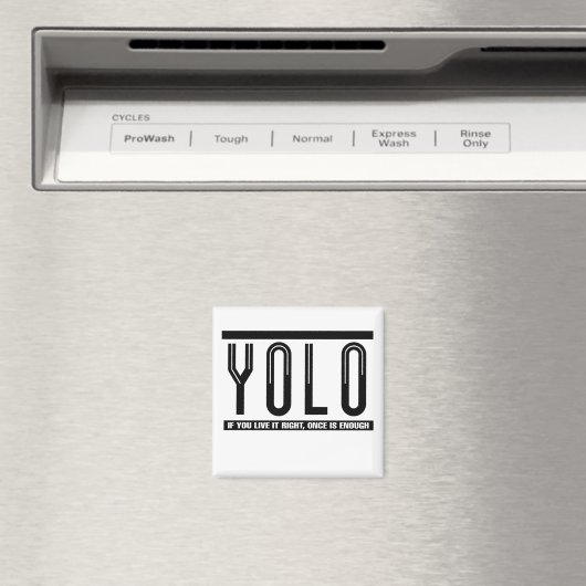 YOLO MAGNET (In Situ (Geschirrspüler))